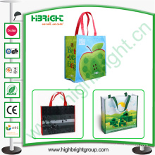 Laminated Woven Shopping Bag for Wholesale